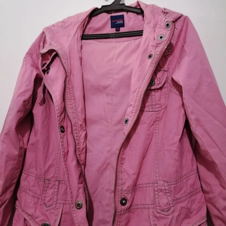 پالتو