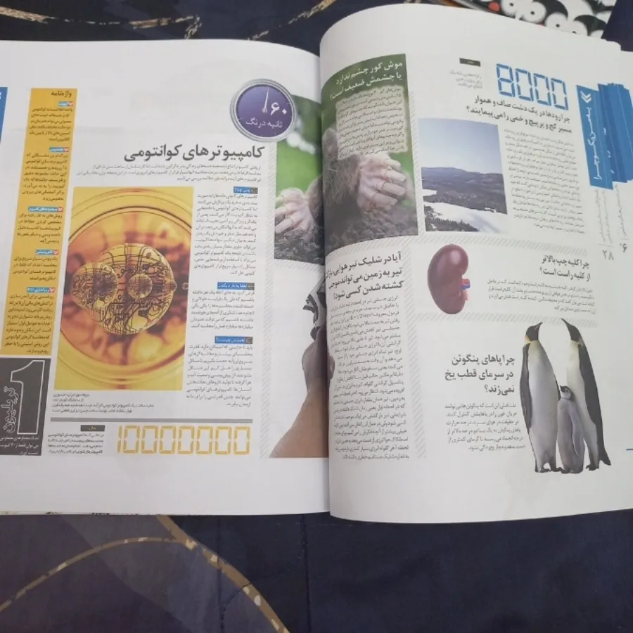 کتاب دانستنیها