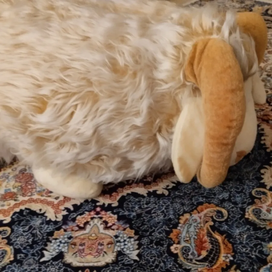 اسباب بازی نو