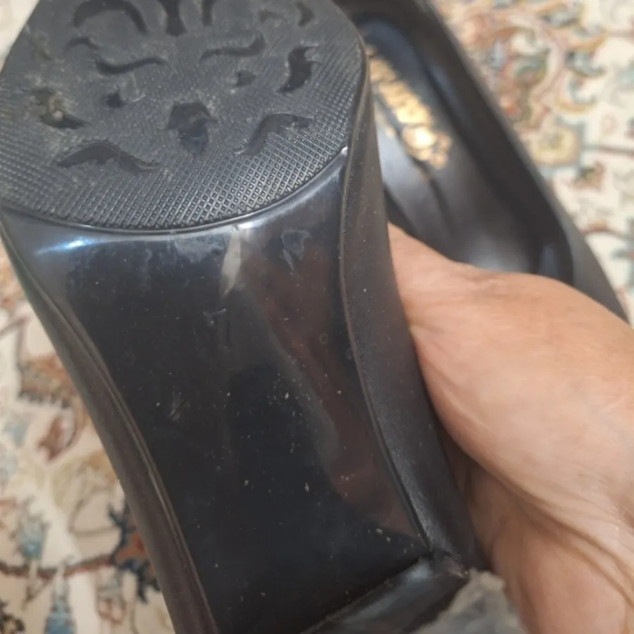 کفش مجلسی