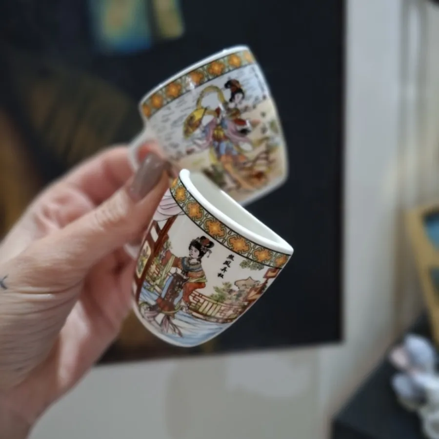 دو عدد مگنت