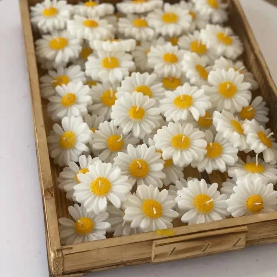 گیفت گل بابونه