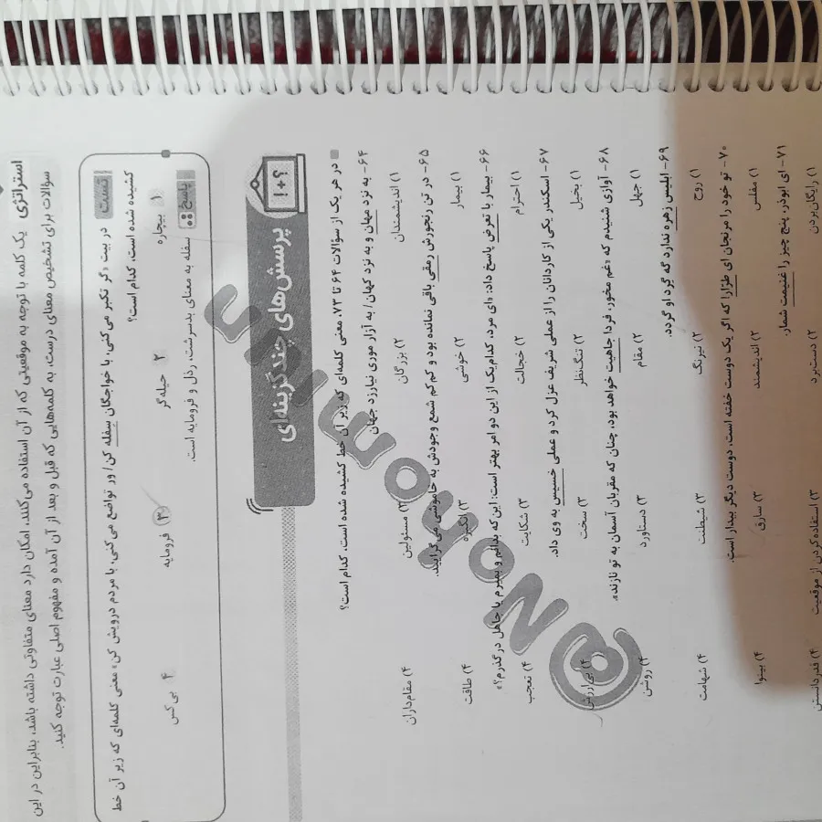 هوش مالتیپل