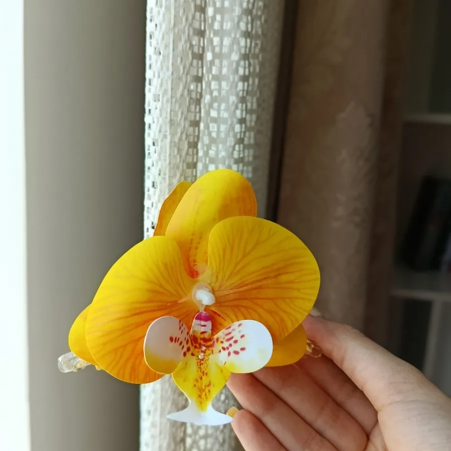 کلیپس ارکیده
