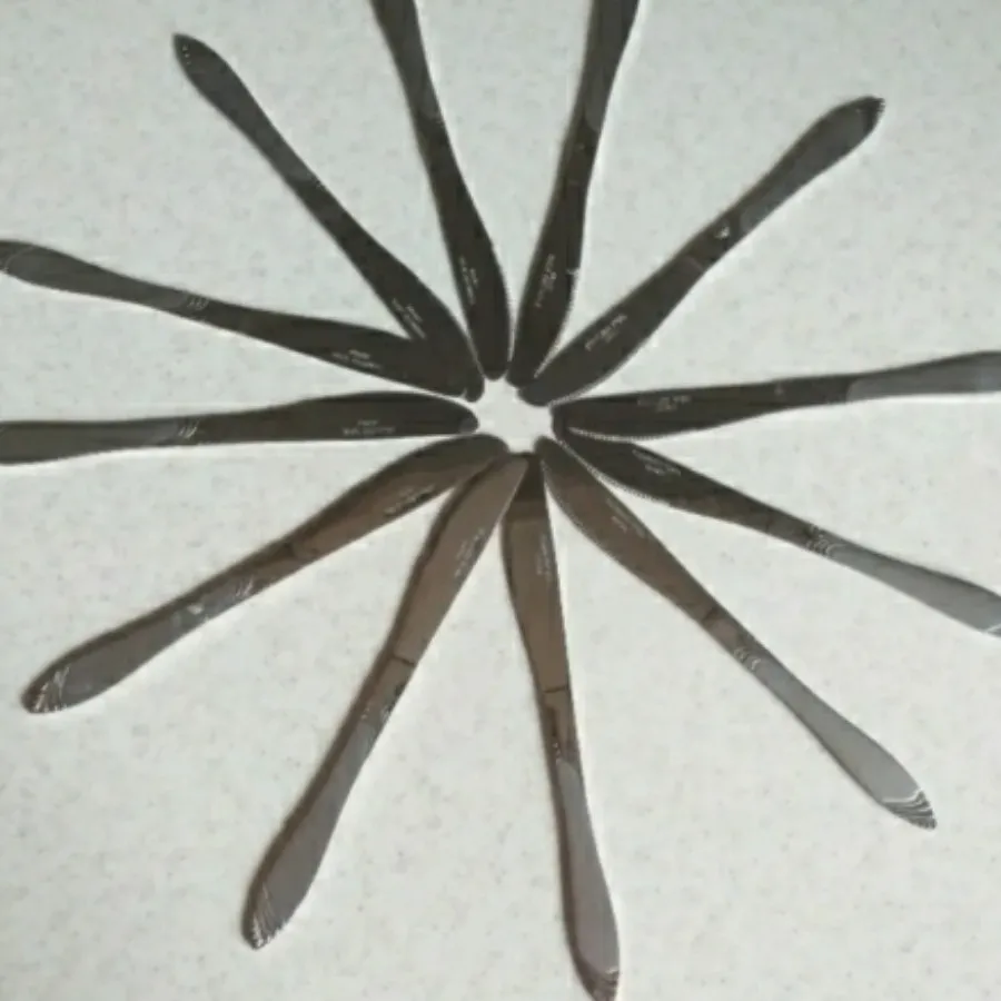 چاقوی میوه خوری استیل