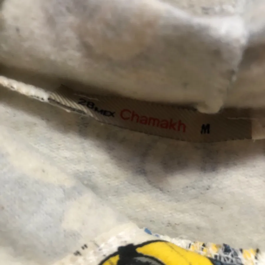 هودی مینیون