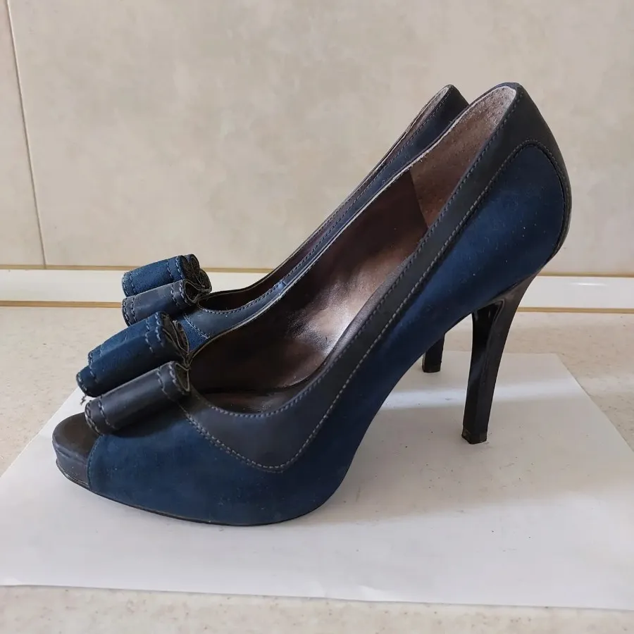 کفش مجلسی