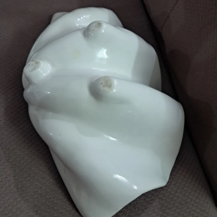 ظرف سرامیکی صدف