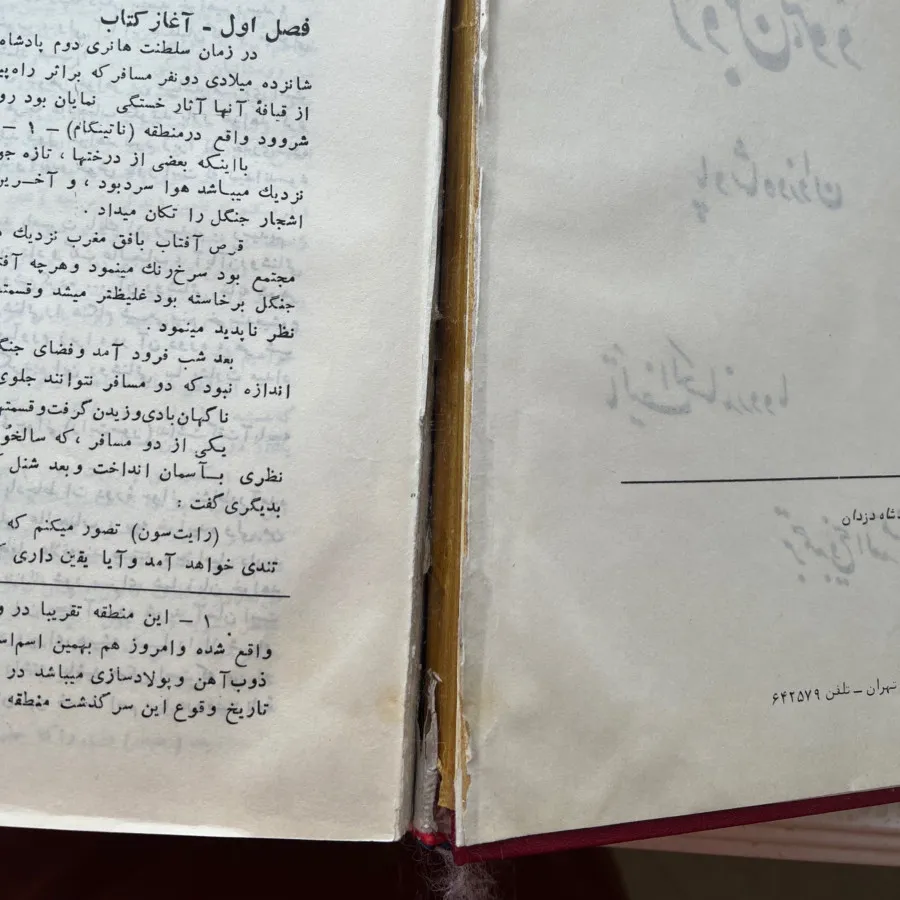 رابین هود