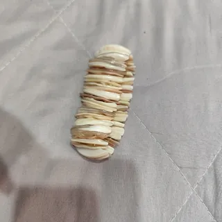 دستبند صدف