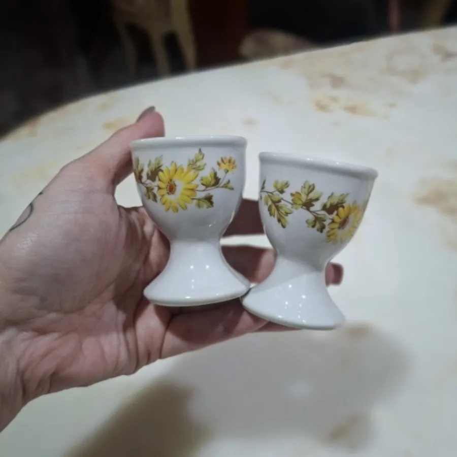 جاتخم مرغی قدیمی