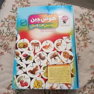 هوش چین