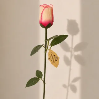 شاخه گل