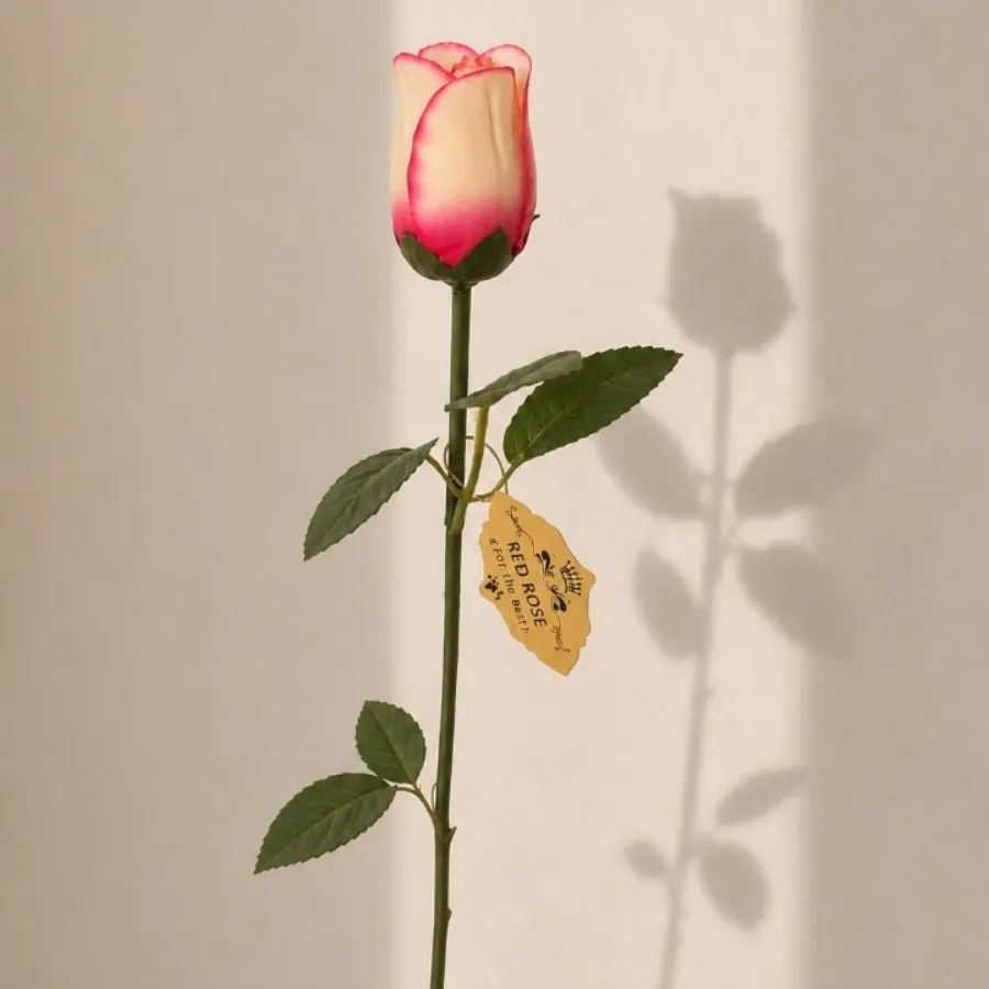 شاخه گل