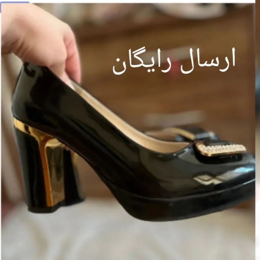 کفش مجلسی