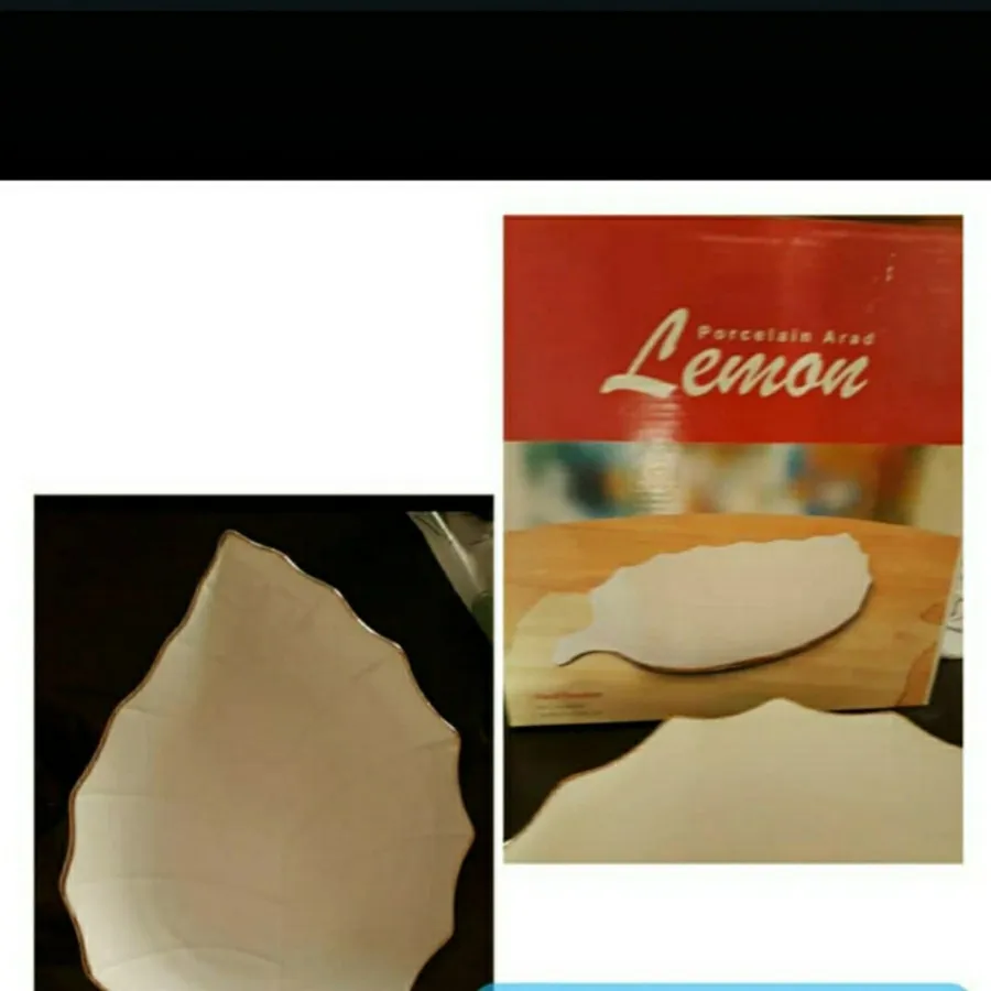 دوتا برگ سرامیک