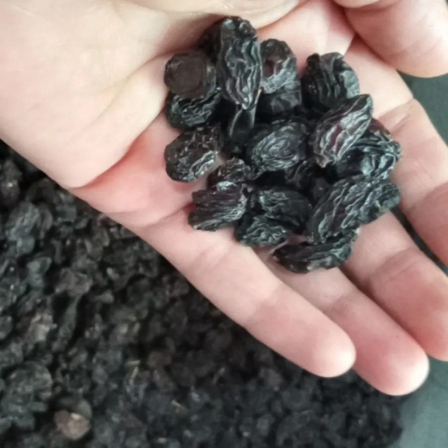 مویز بدون هسته
