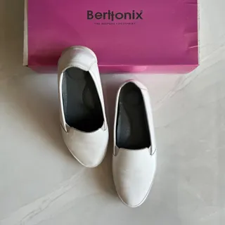 کالج Berttonix