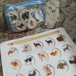 هوش چین
