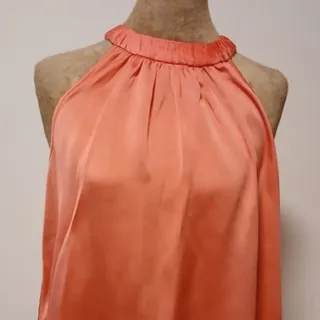 تاپ گردنی مجلسی