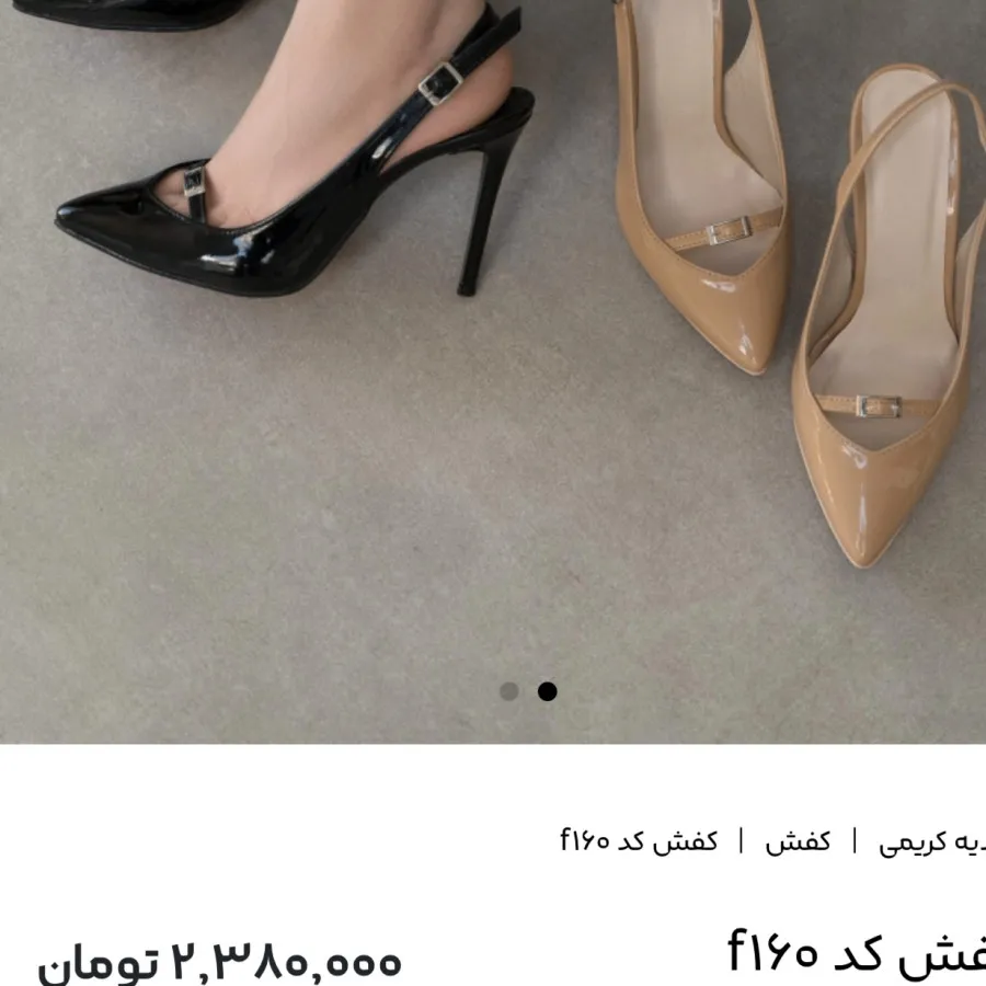 کفش مجلسی