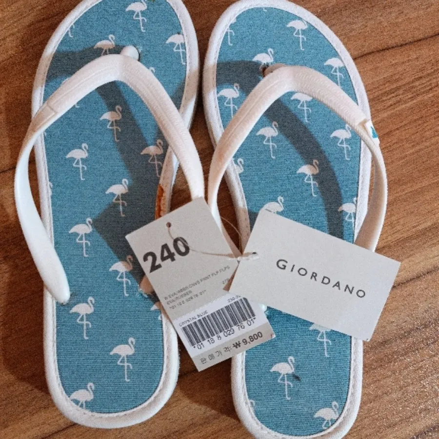 صندل giordano