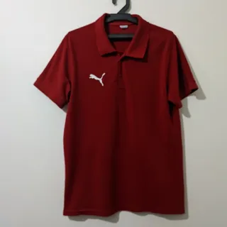 پولوشرت