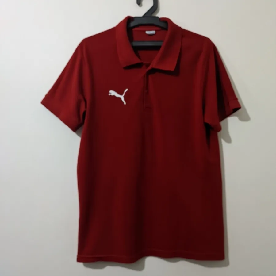 پولوشرت