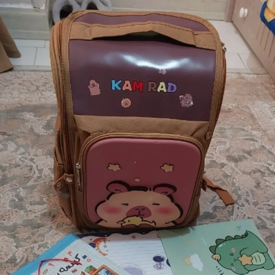 کوله  پشتی صندوقی