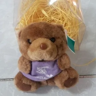 عروسک جاسوییچی