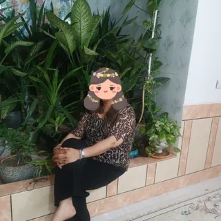 شومیز مجلسی
