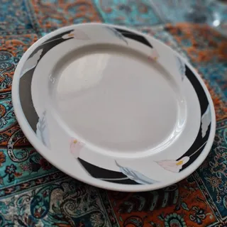 بشقاب پذیرایی