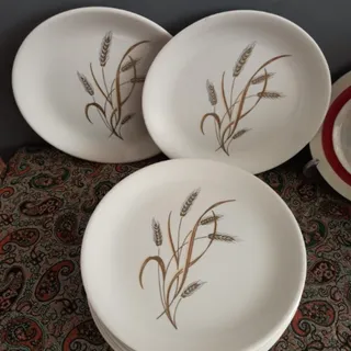 بشقاب