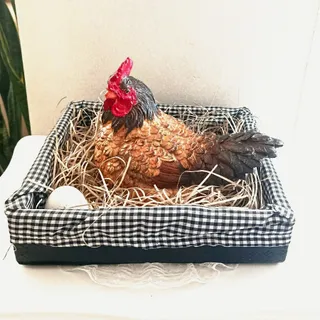 دکوری مرغ خانگی