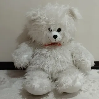 خرس شاسخین