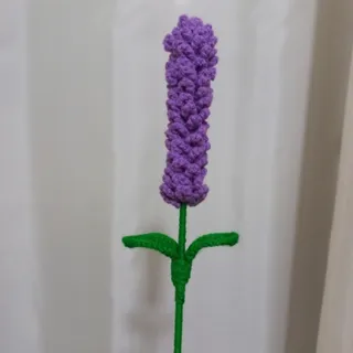 گل سنبل