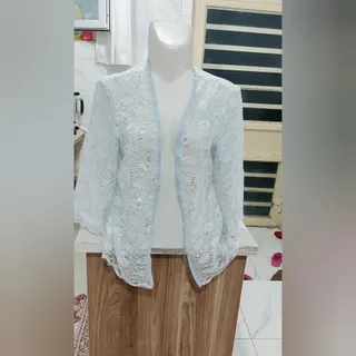 رویه مجلسی