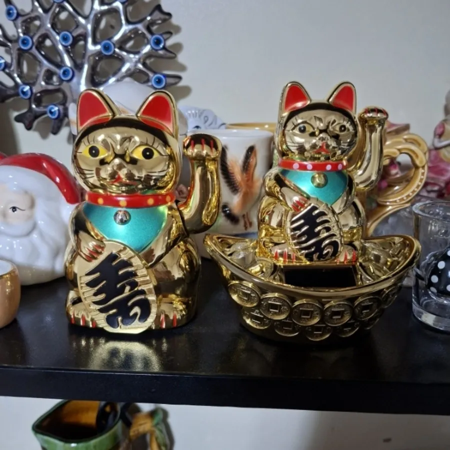 دو عدد گربه مارک چین
