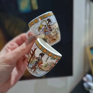 دو عدد مگنت