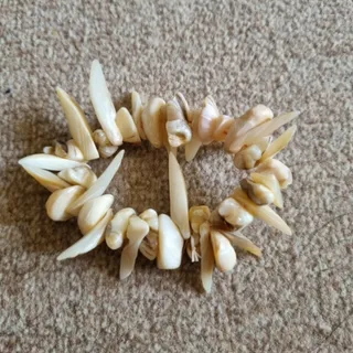 گوشواره و دستبند صدفی