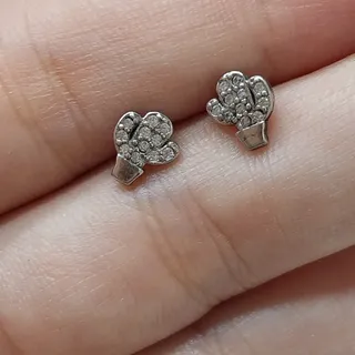 گل گوش نقره