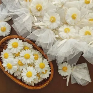 گیفت گل بابونه