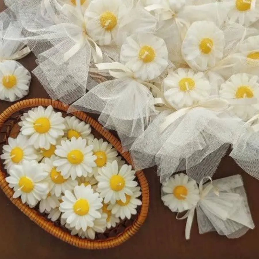 گیفت گل بابونه