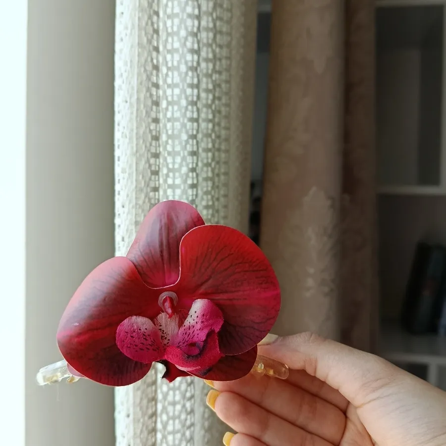کلیپس ارکیده