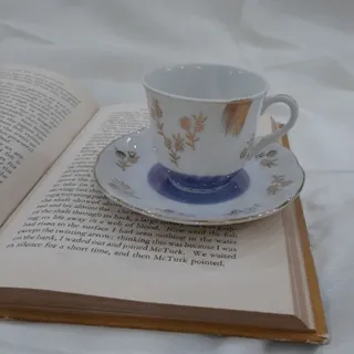 فنجون نلبکی  قدیمی