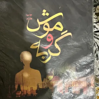 موش و گربه