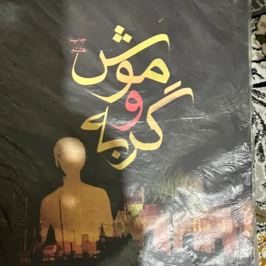 موش و گربه