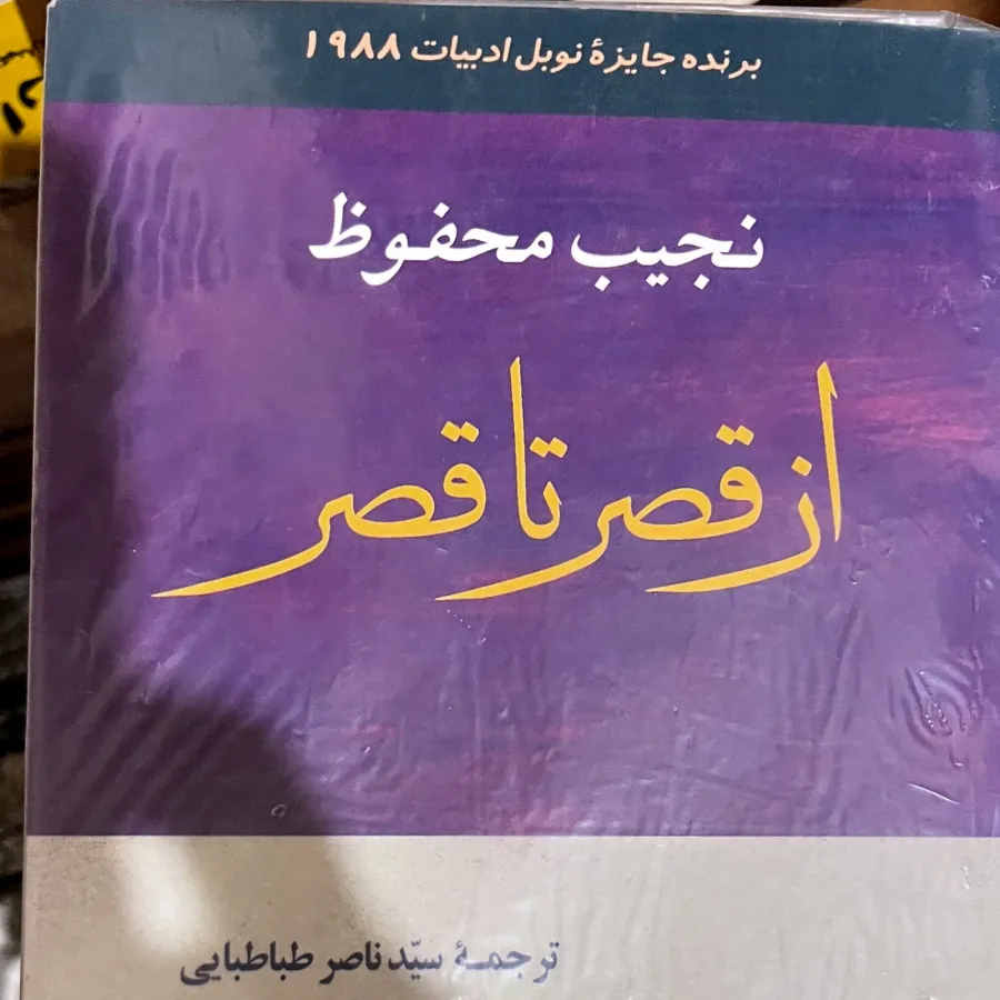 از قصر تا قصر