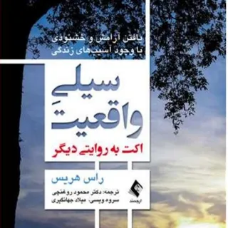 کتاب سیلی واقعیت