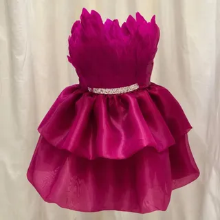 لباس عروسکی پر دار